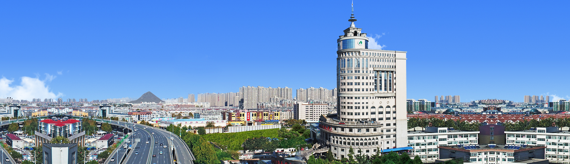 山东J9直营网集团有限公司2026年度招聘简章